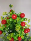 Four-leaf clover fruit tree Specification image